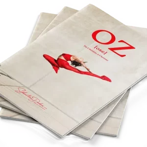 CANDIDATURE OZ